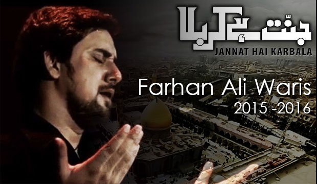 Read more about the article Farhan Ali Waris 2015-16