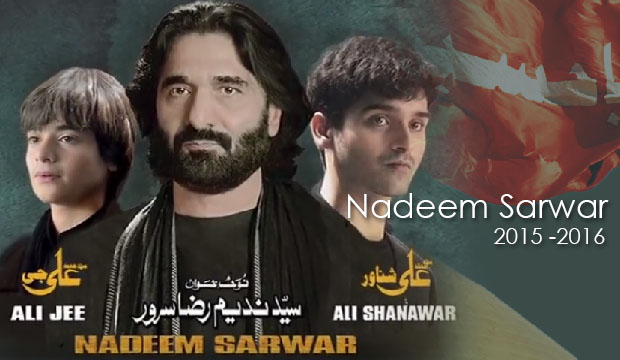 Read more about the article Nadeem Sarwar 2015-16